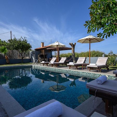 Platanias Villa Spyros 외부 사진